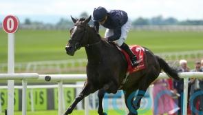 Lambourn still &lsquo;definitely&rsquo; in the Voltigeur mix, says O&rsquo;Brien