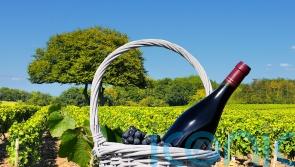 7 French wines from its best-loved regions