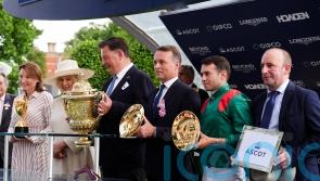 Daryz handed International mission at York