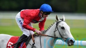 Estrange camp hoping for rain ahead of Yorkshire Oaks