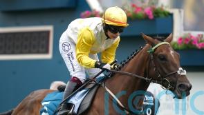 Adrian Keatley in confident mood ahead of Kihavah outing