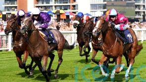 Hollywoood Treasure takes starring role at Newbury