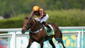 Dancing Gemini all set to bounce back in Prix Jacques le Marois