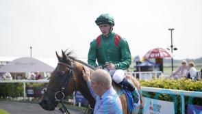 Zahrann advertises big-race credentials in Royal Whip