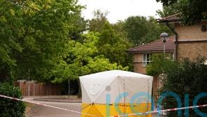 Three arrested in murder investigation after woman fatally assaulted
