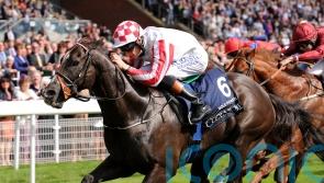 Richard Hughes no stranger to Nunthorpe success as he readies Sayidah Dariyan