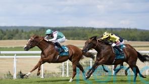 Qirat supplemented for Rosallion rematch at York