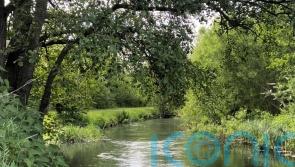Feargal Sharkey accuses environment watchdog of illegally draining River Lea