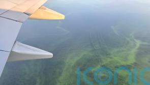 Call for urgent cross-party action to save Lough Neagh