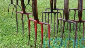Second Hand September: How gardeners can do their bit