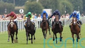 Sparks flew at York when Electrocutionist made it an Italian job