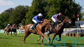 ‘A big player’ – Distant Storm brewing in Acomb Stakes