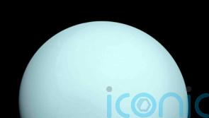 Nasa’s Webb telescope finds a new tiny moon around Uranus