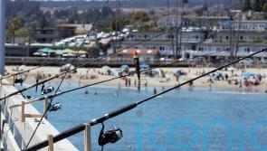 Revenues jump at Angling Direct after strong online sales