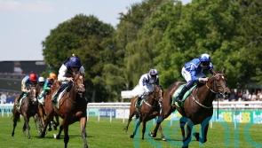 Ed Walker anticipating bold Lowther show from Royal Fixation
