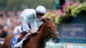 Pride Of Arras returns to form with Voltigeur victory