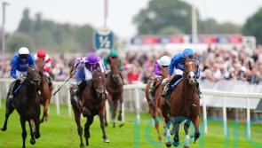 Leopardstown option for Delacroix following York eclipse