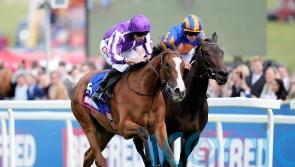 Minnie Hauk at concert pitch for Yorkshire Oaks date
