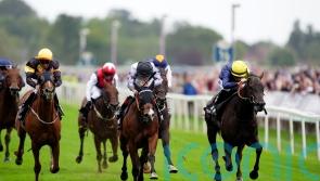 Trefor enters Ayr Gold Cup reckoning after York success