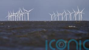 Fishing leaders call for immediate halt to wind farm expansion ‘stampede’