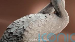 Sanex shower gel ad banned for stereotype that black skin is ‘problematic’ – ASA