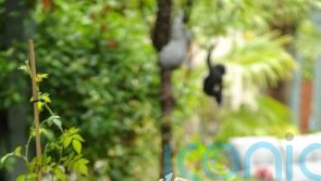 World’s oldest living person celebrates her 116th birthday with ‘quiet day’