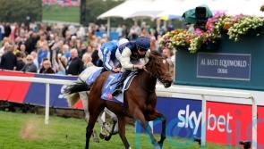 Royal Fixation is Lowther queen for Ed Walker