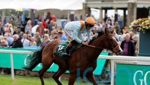 Song Of The Clyde in tune for another big sales race win for Clive Cox