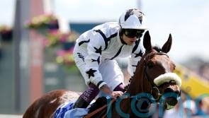 Al Qareem out for another York raid in the Lonsdale Cup