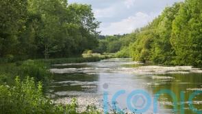 Planners refuse permission for poultry unit close to ‘precious’ chalk stream