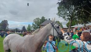 Estrange keeps Arc hopes afloat with Yorkshire Oaks run