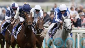 York Eyecatcher America Queen can reign eventually