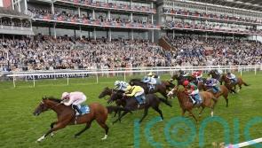 Bullet Point well made in York handicap