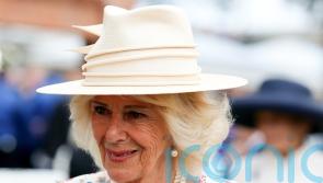 Queen delights racegoers but has hopes of winning dashed at York Racecourse