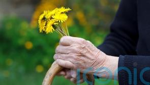 Gardening with arthritis: Tips to ease the pain
