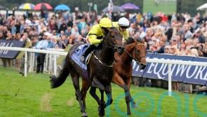 Lifeplan pounces in Gimcrack for Declan Carroll and Zak Wheatley