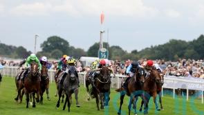 Ain’t Nobody proves 100-1 odds wide of the mark with brave Nunthorpe effort