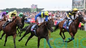 Never So Brave hits Group One target in City of York