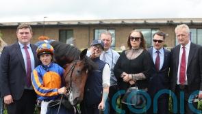 Constitution River too strong for Futurity rivals