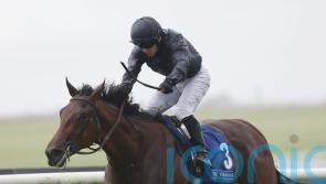 Composing books Moyglare ticket with Debutante success