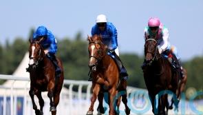 Publish in line for what could prove highly-informative Solario Stakes