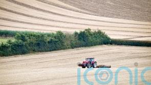 Water scarcity restrictions imposed for first time in 2025