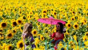 Warmest August bank holiday Monday ever for Wales and Northern Ireland