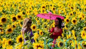 Warmest August bank holiday Monday ever for Northern Ireland recorded at Magilligan