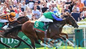 American adventure on the cards for Diego Velazquez