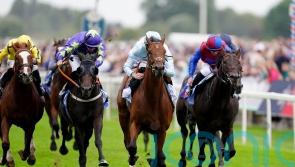 Carmers all set for Doncaster as 15 remain in final Classic