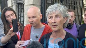 Connolly ‘seriously concerned’ about US veto over UNIFIL mandate