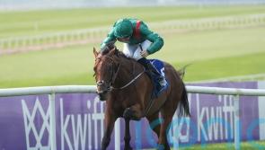 Zahrann ready to face ultimate test in Irish Champion