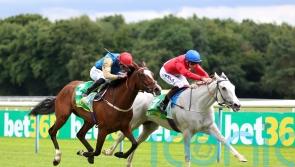 Paris or Ascot assignments will come into view for Estrange