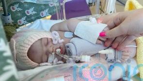 Lab-grown mini-lungs used to test new treatment for rare condition in babies